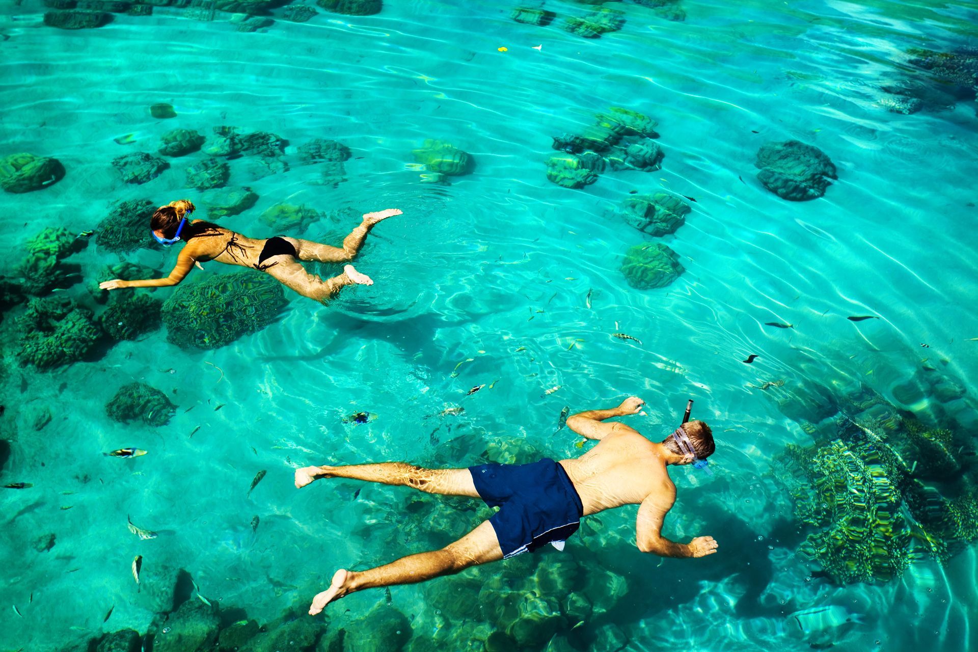 Snorkeling In Hanauma Bay