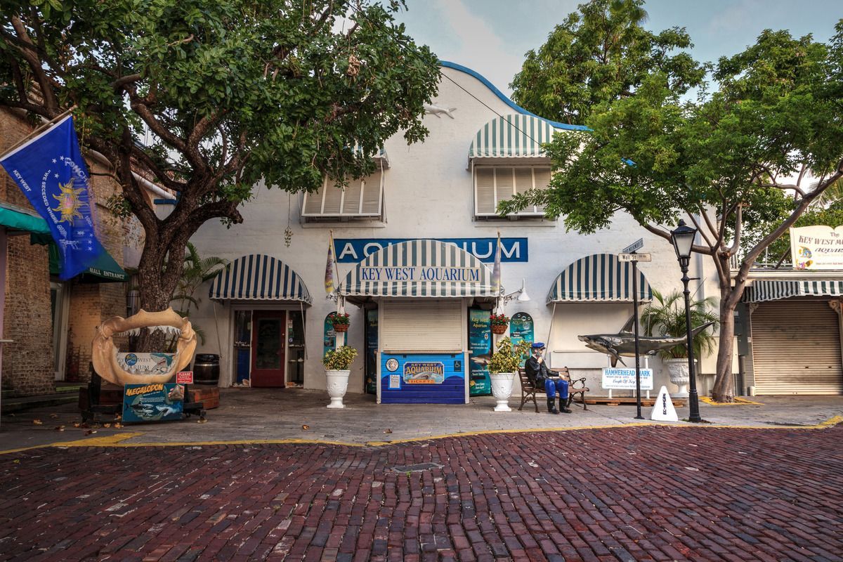 Excitement At The Key West Aquarium