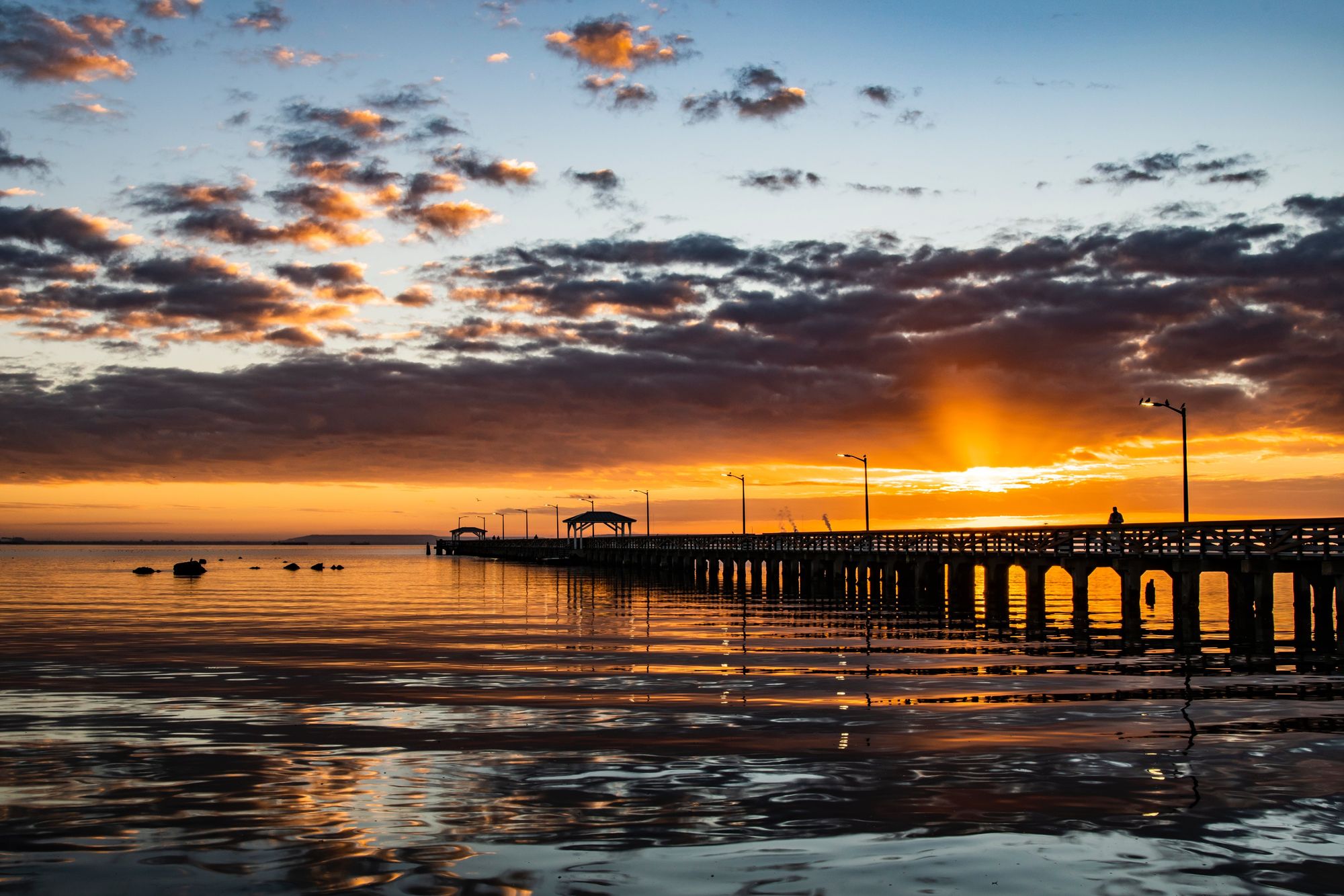 Spectacular Tampa Bay Sunset Viewing Spots