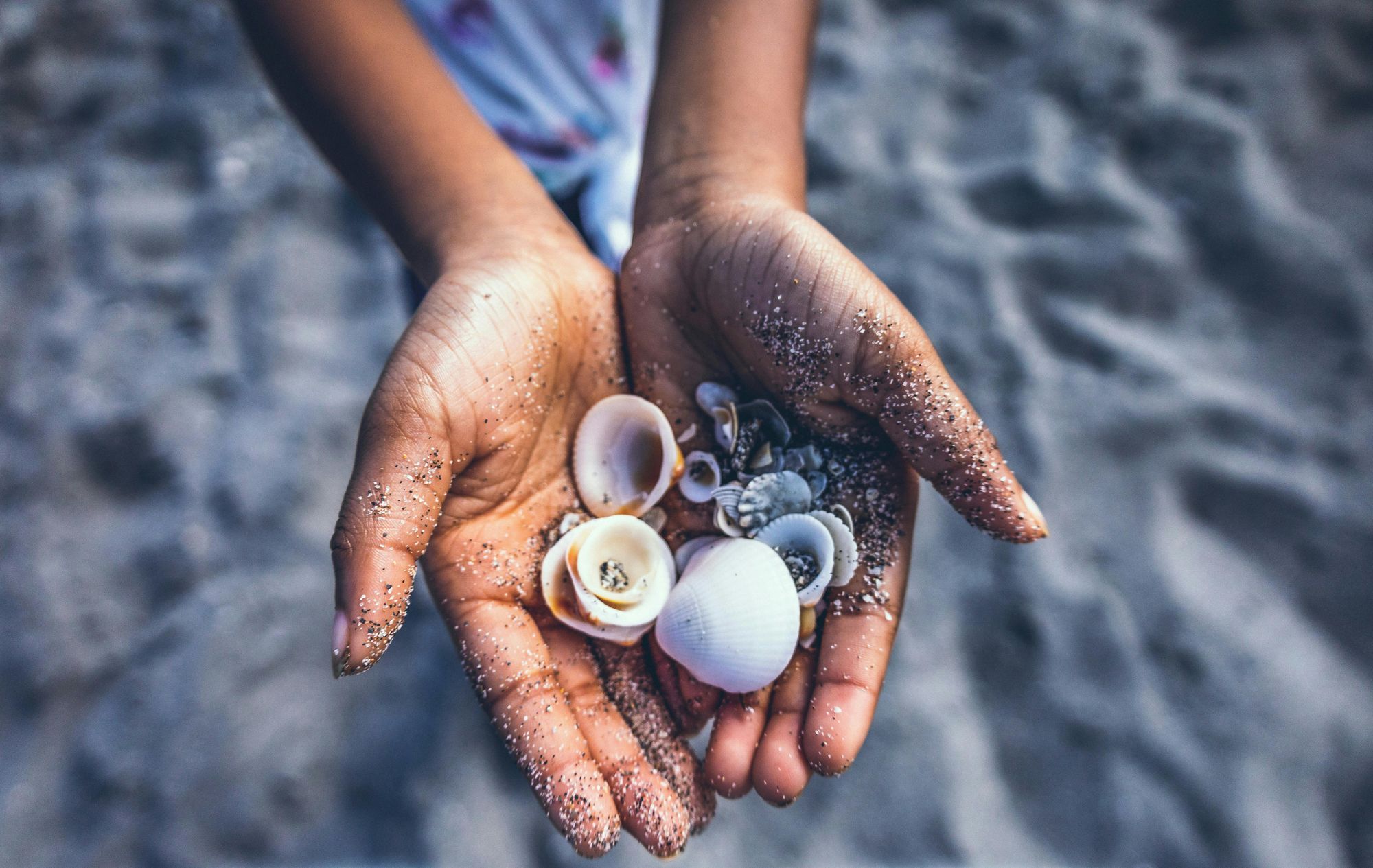 Collecting Shells At Sandy's Secret Shell Spot Near The Rocks