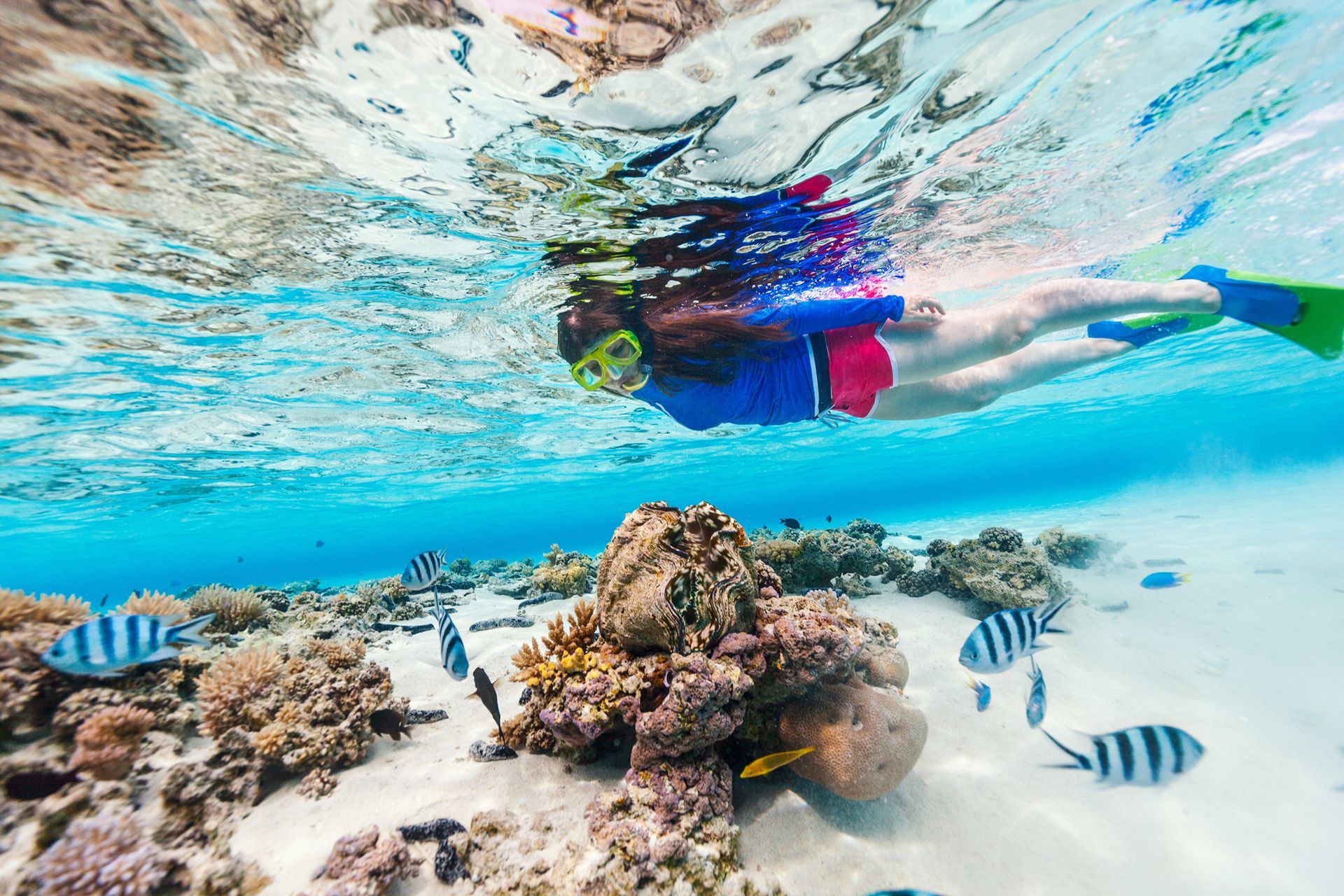 Snorkeling With Colorful Fish