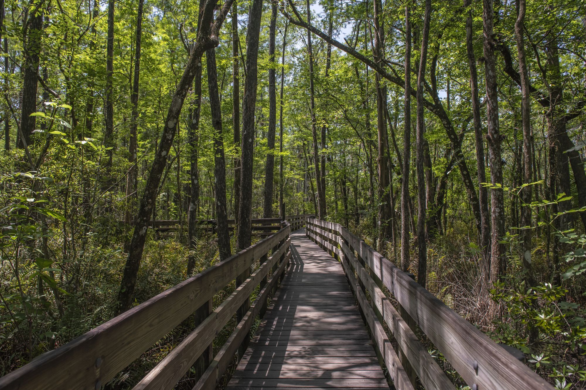 Nature Preserve