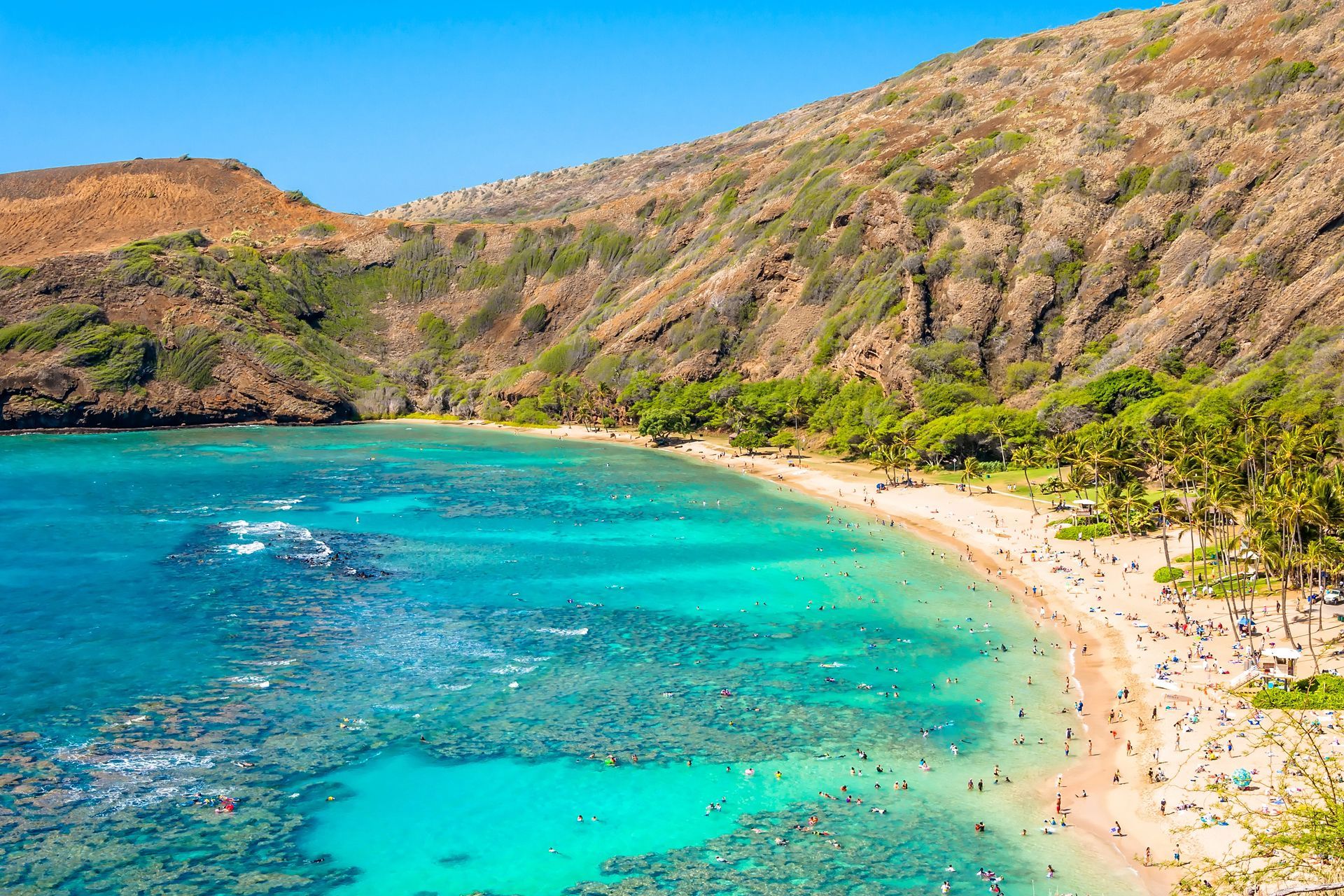 Visit Hanauma Bay For Snorkeling Or Simply Unwind Under The Palm Trees