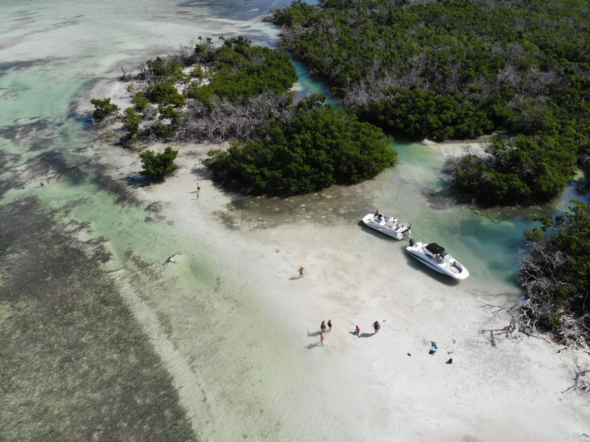 Boat Trip To Mud Keys In Key West