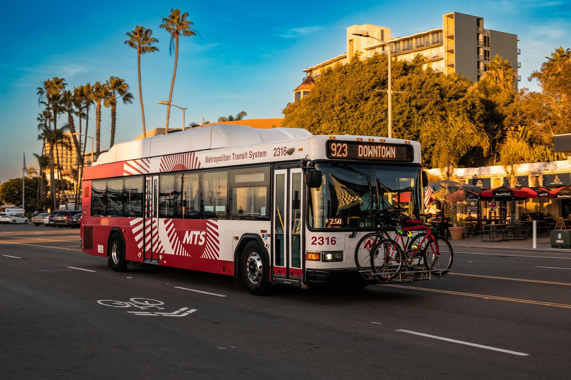 Taking A Bus From Miami