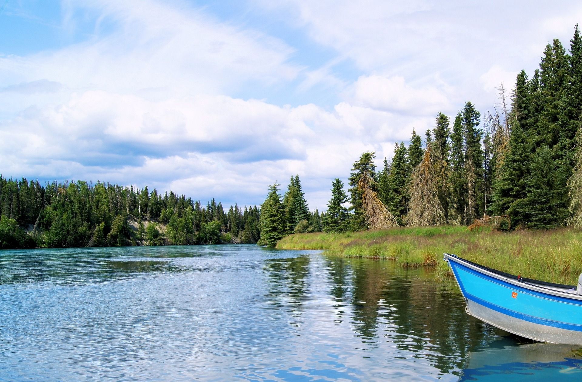 Kenai Fjords National Park Kayak Tours