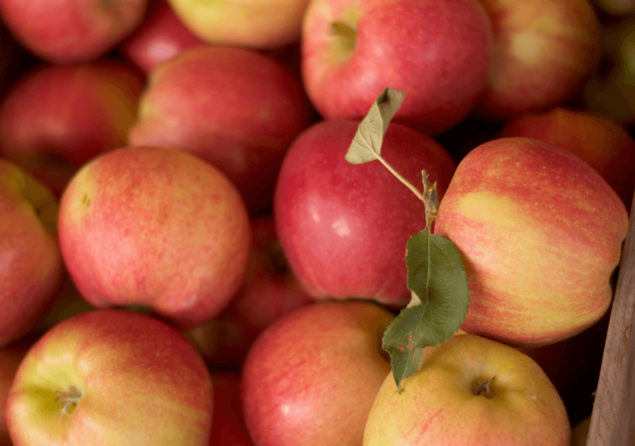 Red Kelowna apples stacked in a crate