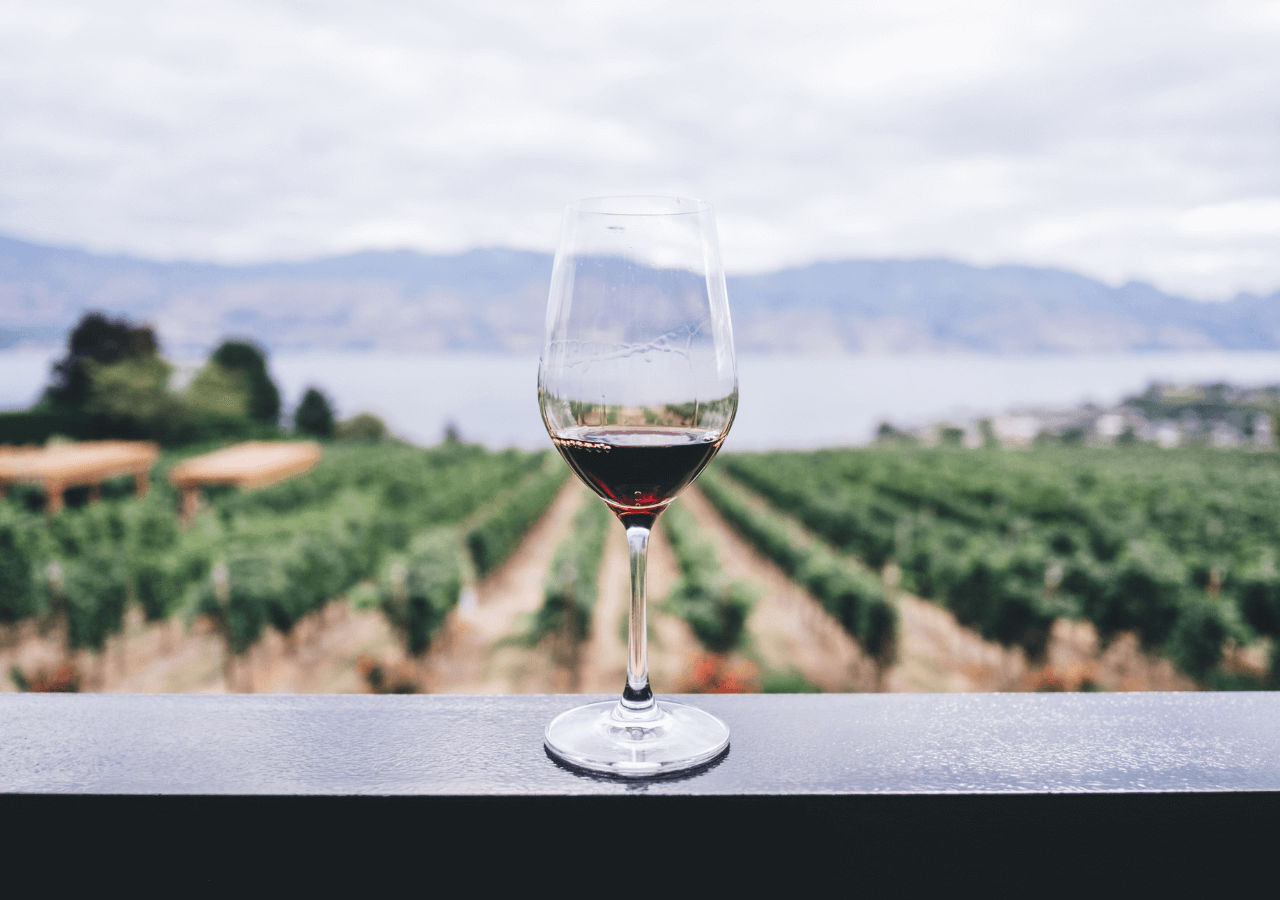 Glass of red wine with vineyard in the background at Quails Gate Winery
