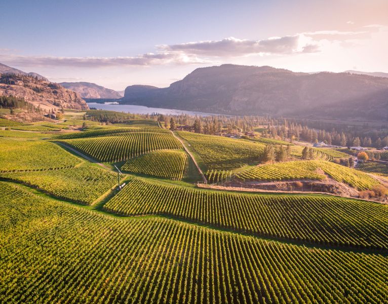 Penticton Wine Tours and the Naramata Bench with Wicked Tours