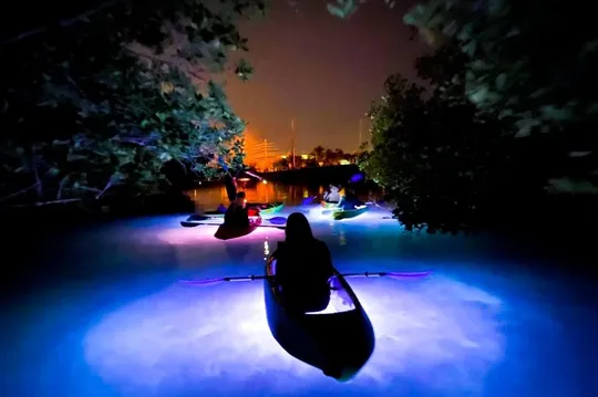 night paddleboard tours