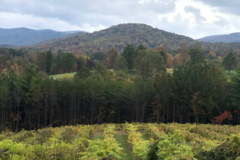 georgia wine tour