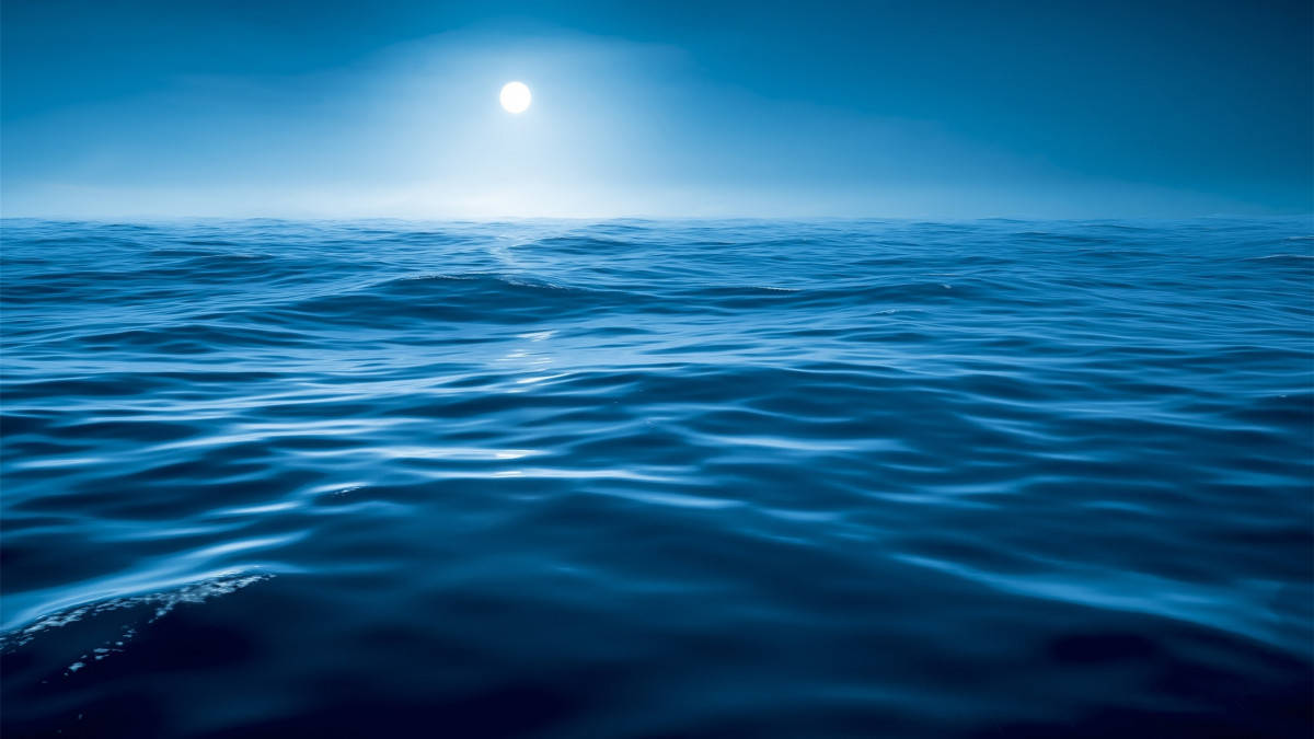 Blue Economy potensi pemanfaatan sumber daya laut Indonesia