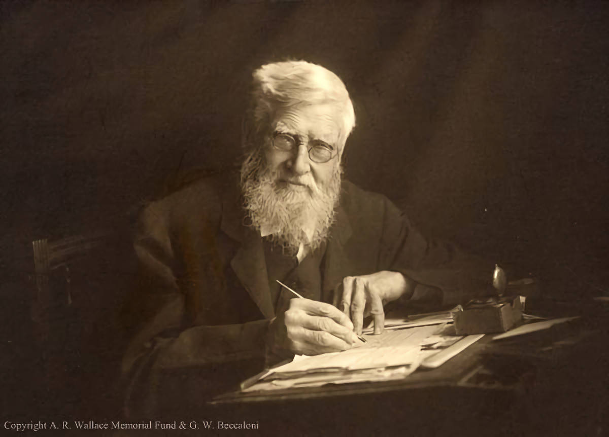 Alfred Wallace dan Misteri Sulawesi yang Menghantui Hingga Akhir Hayatnya