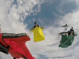 Gambar Sampul Spesies Mamalia Terbang Asli Indonesia ini Menginspirasi Olahraga Wingsuit Flying