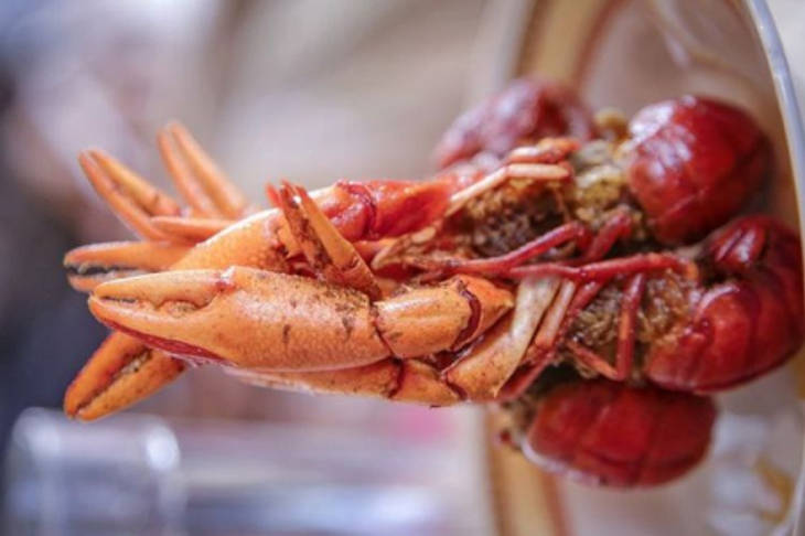Bukan Hanya Papeda, Berikut 7 Makanan Khas Papua yang Wajib Kamu Coba!