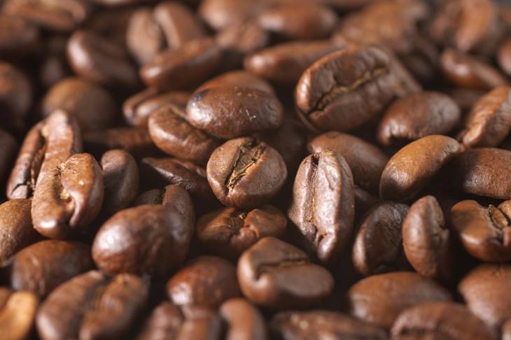 Petani Butuh Jiwa Pengusaha, Cerita Perubahan Mentalitas Petani Kopi dalam Binaan DSA Rendenao