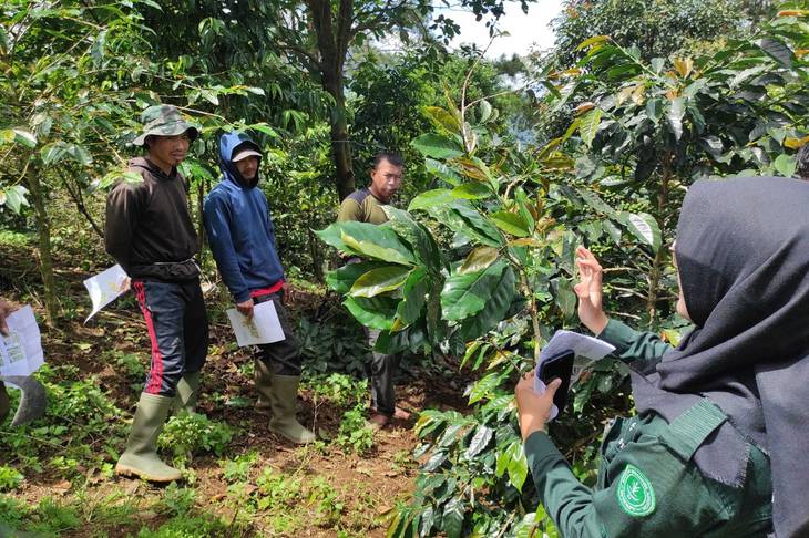 Dari Puncak Bogor Menuju Panggung Dunia! Kampung Cibulao Desa Tugu Utara Bersiap Ekspor 1 Ton Kopi ke Aljazair