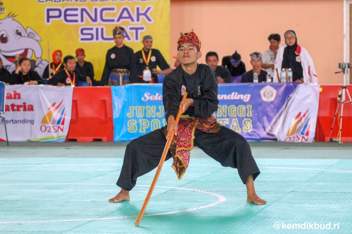 Pencak Silat, Tradisi Bela Diri Nusantara yang Mendunia