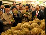 Gambar Sampul Dulu Defisit, Ekspor Durian Surplus 733 Ton Selama 2018, Ini Negara Sasarannya