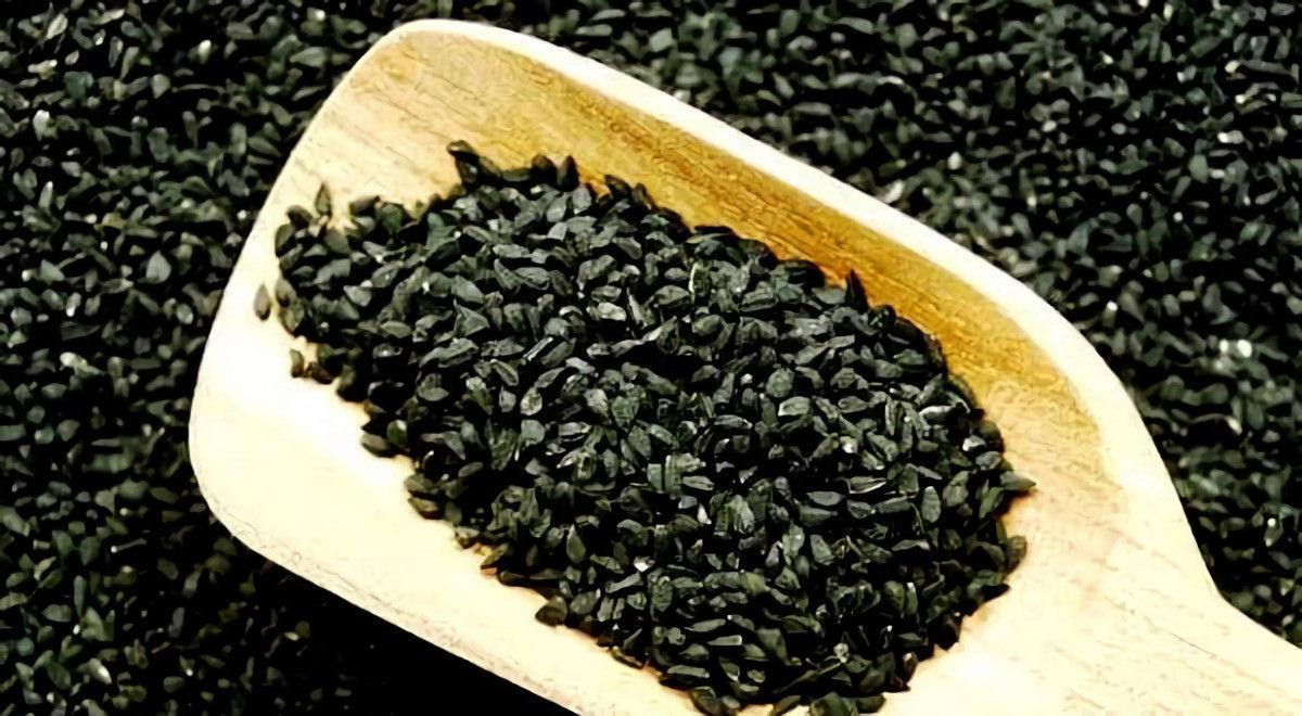 Jintan Hitam, Tanaman Obat untuk Segala Jenis Penyakit Kecuali Kematian