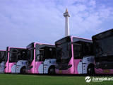 Gambar Sampul Makin Aman! Transjakarta Tambah 20 Bus Pink Khusus Penumpang Wanita