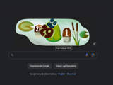 Gambar Sampul Apa itu Tahun Kabisat dan Sejarahnya, Tahun yang Habis Dibagi Empat yang Jadi Google Doodle Hari Ini