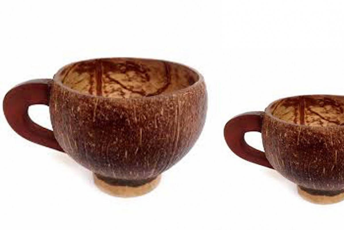 Peluang usaha batok kelapa, apa saja ?