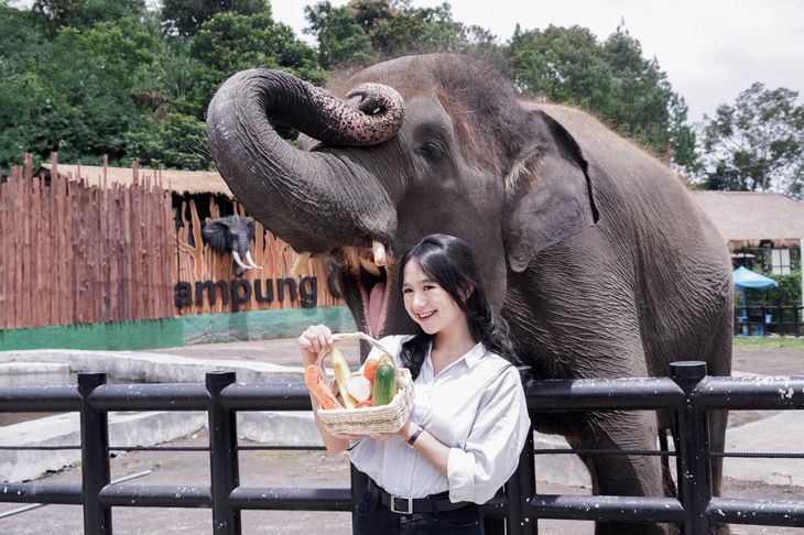 Mengenal Dunia Satwa Lebih Dekat di Lembang Park & Zoo, Tempat Wisata Edukatif untuk Keluarga