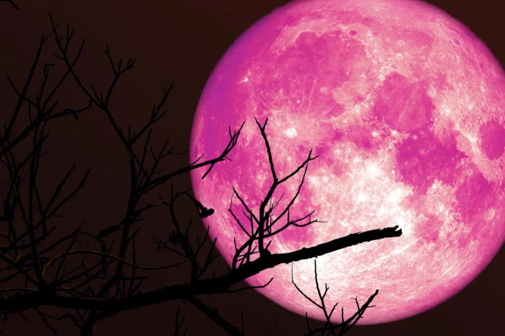 Mengenal Strawberry Moon: Fenomena Alam Menakjubkan di Langit Juni