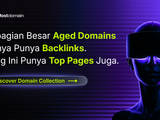Gambar Sampul Mengenal Tren 'Aged Domain': Strategi Cerdas Pelaku Bisnis Lokal Curi Start di Kancah Digital
