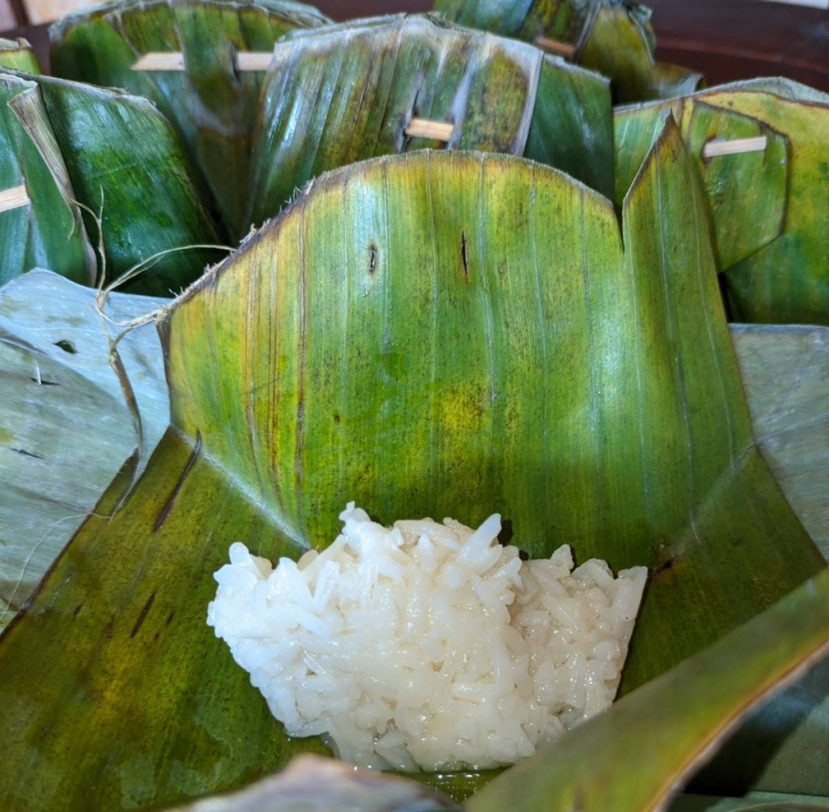 Tape Ketan Putih Makanan Khas Indonesia yang Memiliki Beragam Manfaat