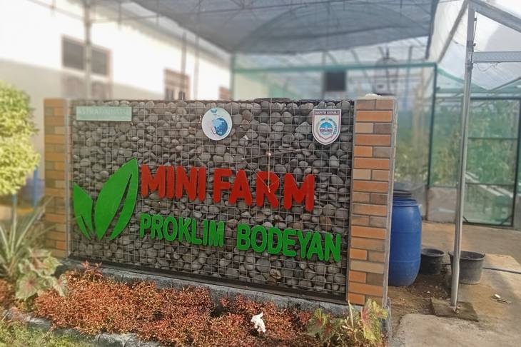 Proklim Bodeyan, Dinamika Pengelolaan Sampah hingga Pertanian Mini