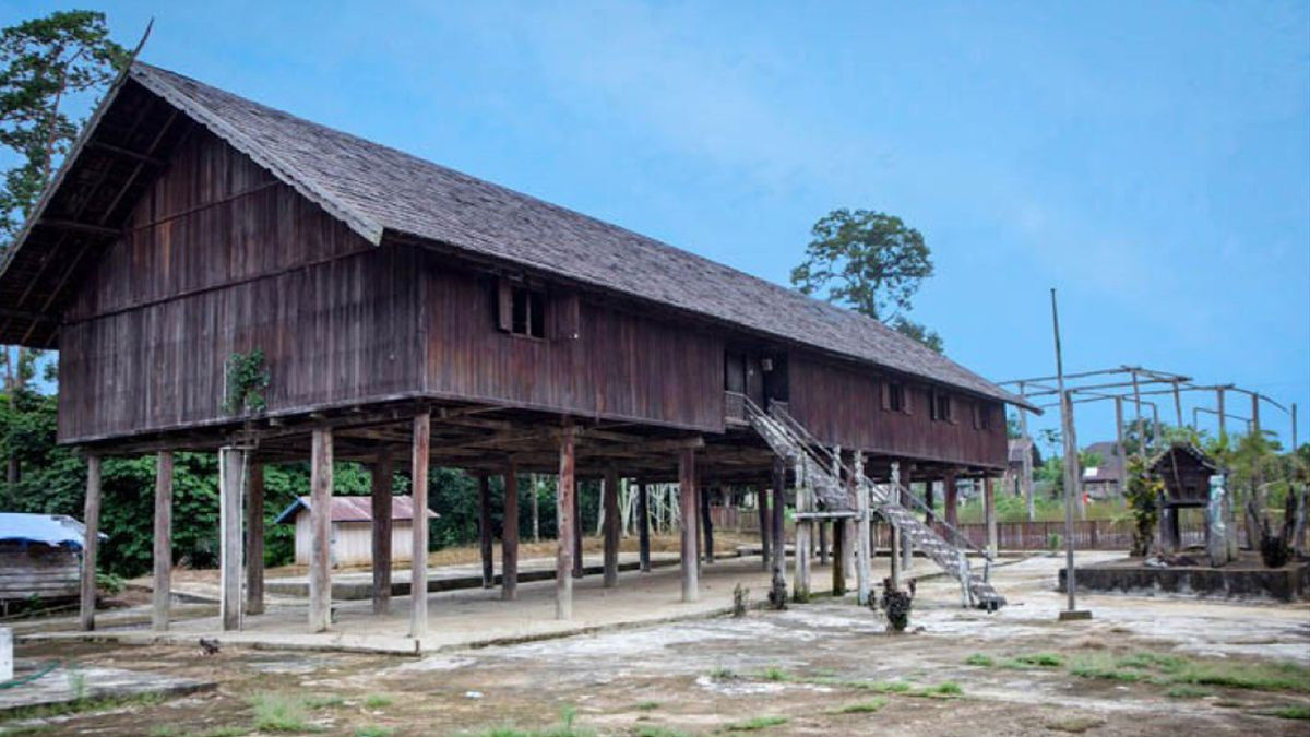 7 Jenis Rumah Betang Rumah Adat Kalimantan Tengah