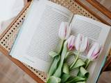 Gambar Sampul Inilah Segudang Manfaat Bunga Tulip dari Antioksidan hingga Regenerasi Kulit