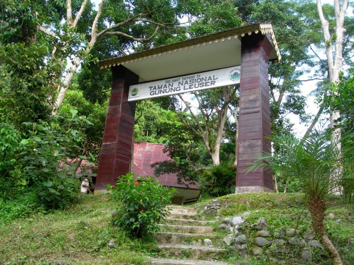 Sejarah dan Perjalanan Taman Nasional Gunung Leuser: Rumah Bagi Satwa  Dilindungi
