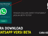 Gambar Sampul Mengenal WhatsApp Beta, Komunikasi Lebih Maju dan Inovatif