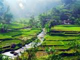 Gambar Sampul 7 Pesona Desa Wisata Malasari