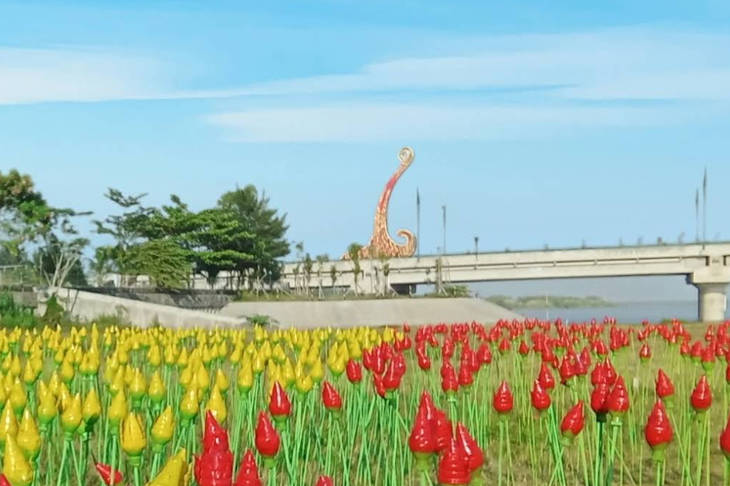 Wisata Bojong Asri Bantul, Ekowisata Keluarga di Tepi Sungai Opak