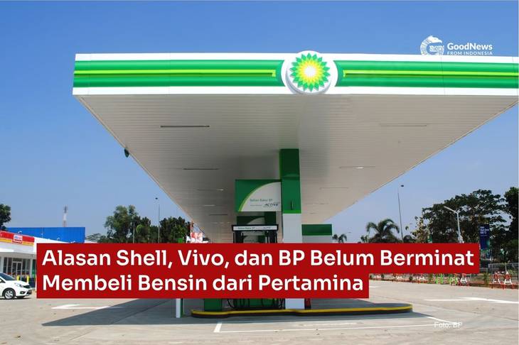 Alasan Shel, Vivo, dan BP Belum Berminat Membeli Bensin dari Pertamina