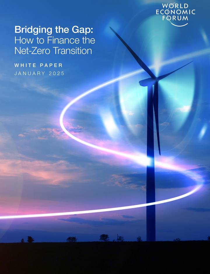 Bridging the Gap: How to Finance the Net-Zero Transition