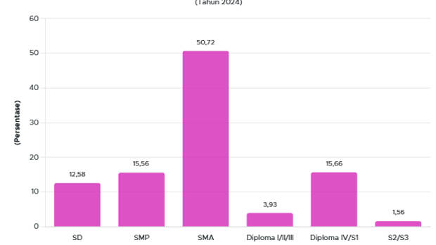 Pengusaha E-Commerce 2024 Didominasi Lulusan SMA