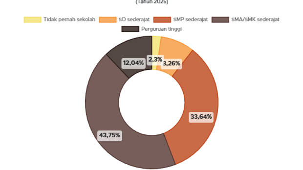 Tingkat Pendidikan Pemuda Indonesia 2025, Mayoritas Lulusan SMA
