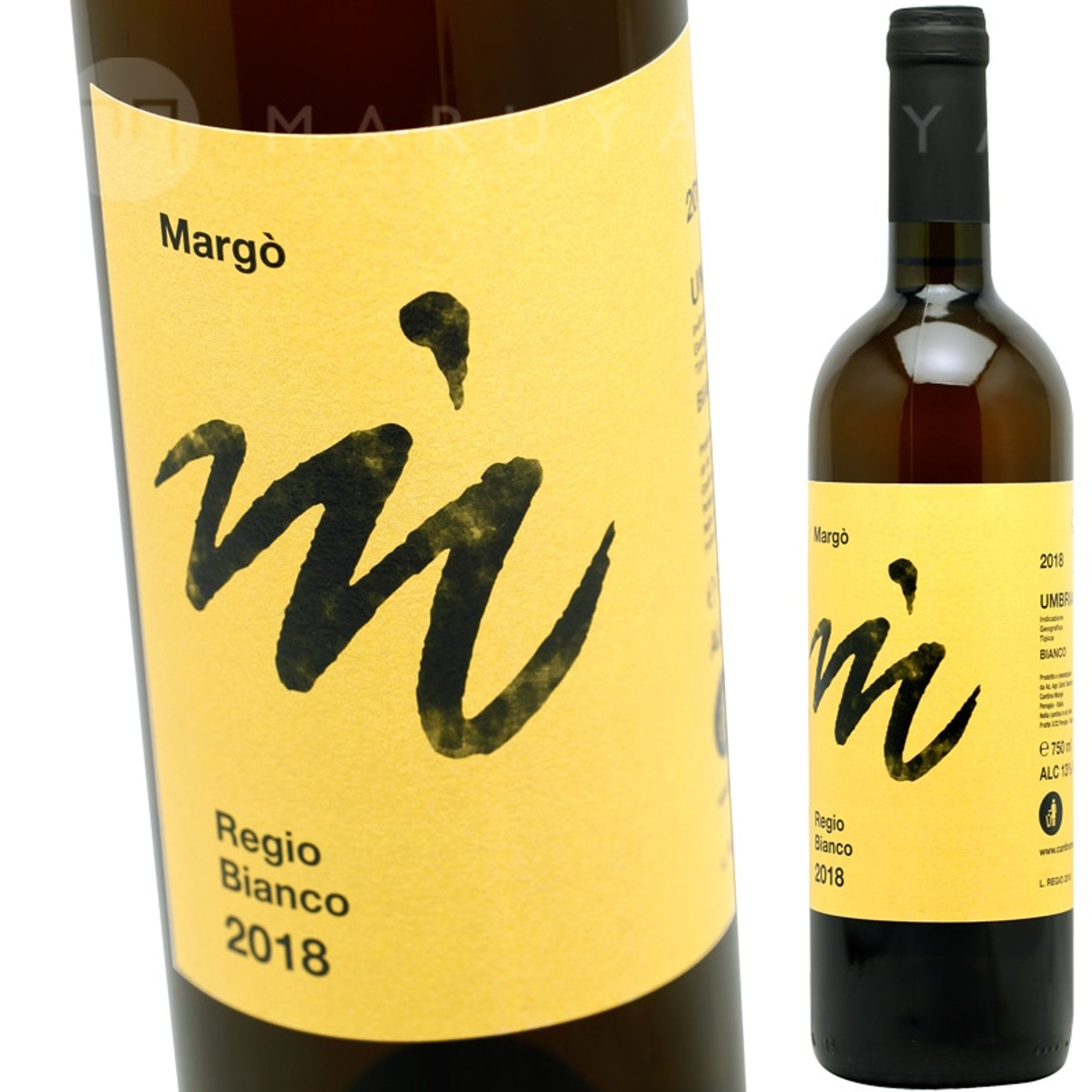 ㊹レジオ・ビアンコ 2nd 2022 マルゴ