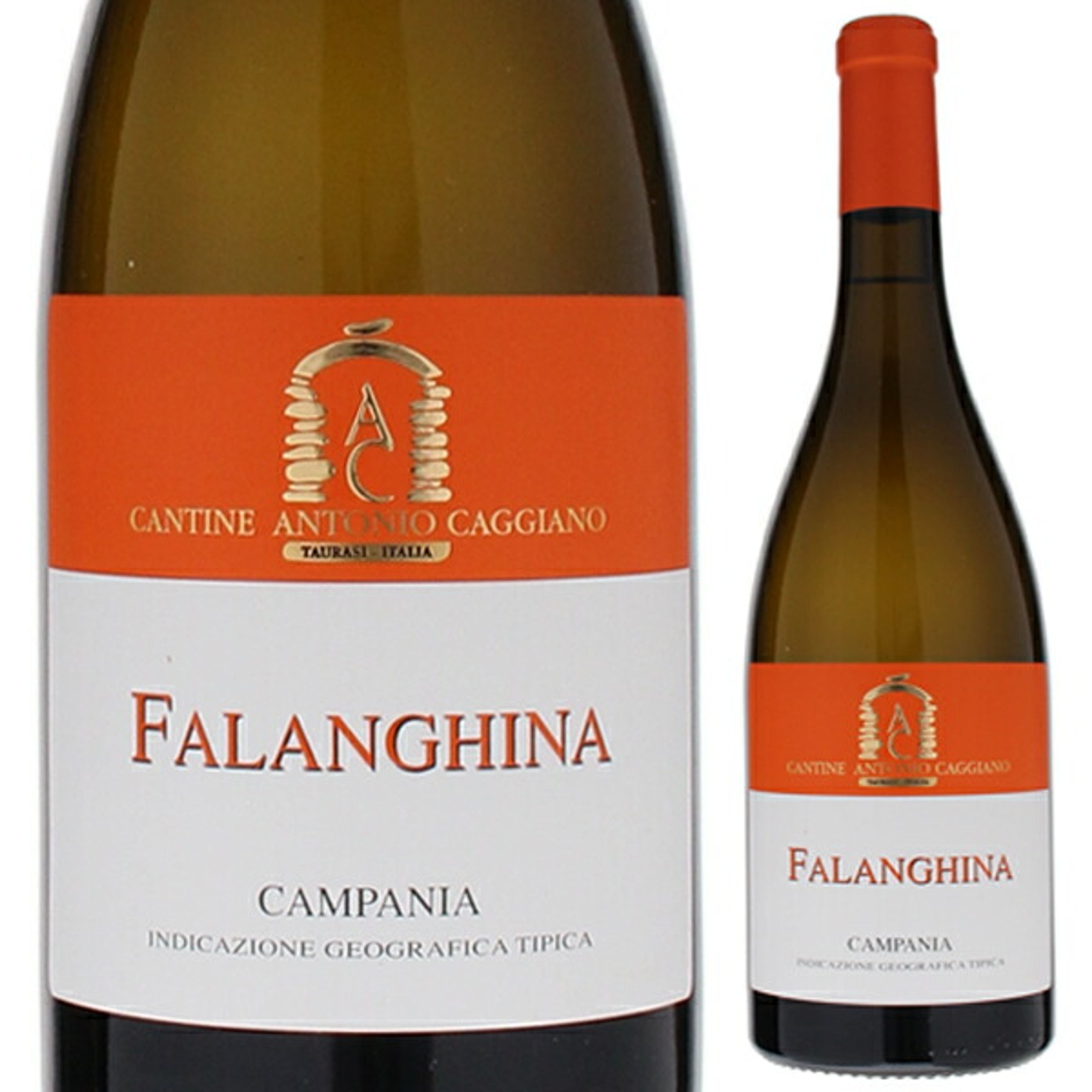 ㉑ファランギーナ 2023 アントニオ カッジャーノ