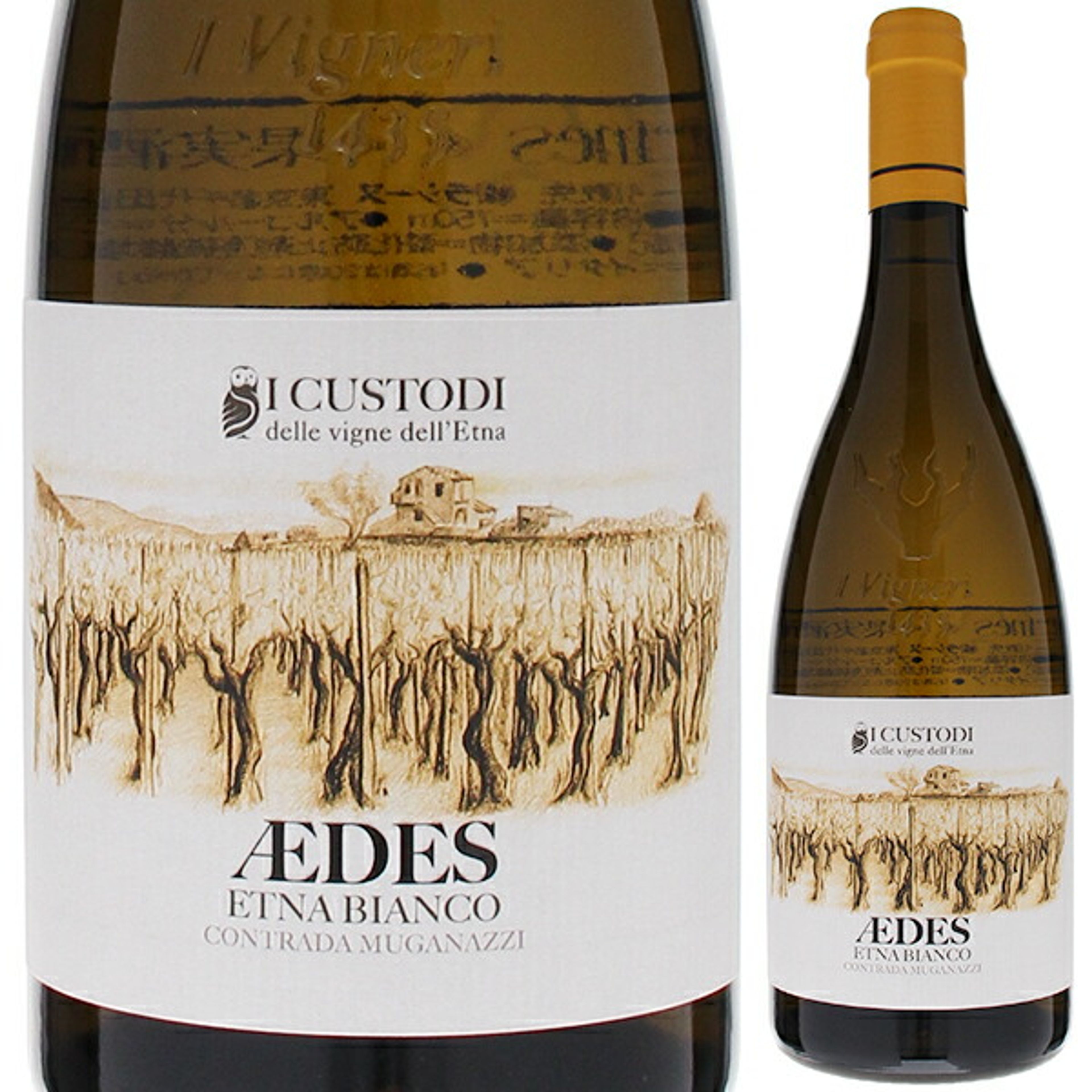 エデス エトナ ビアンコ 2023 イ クストディ