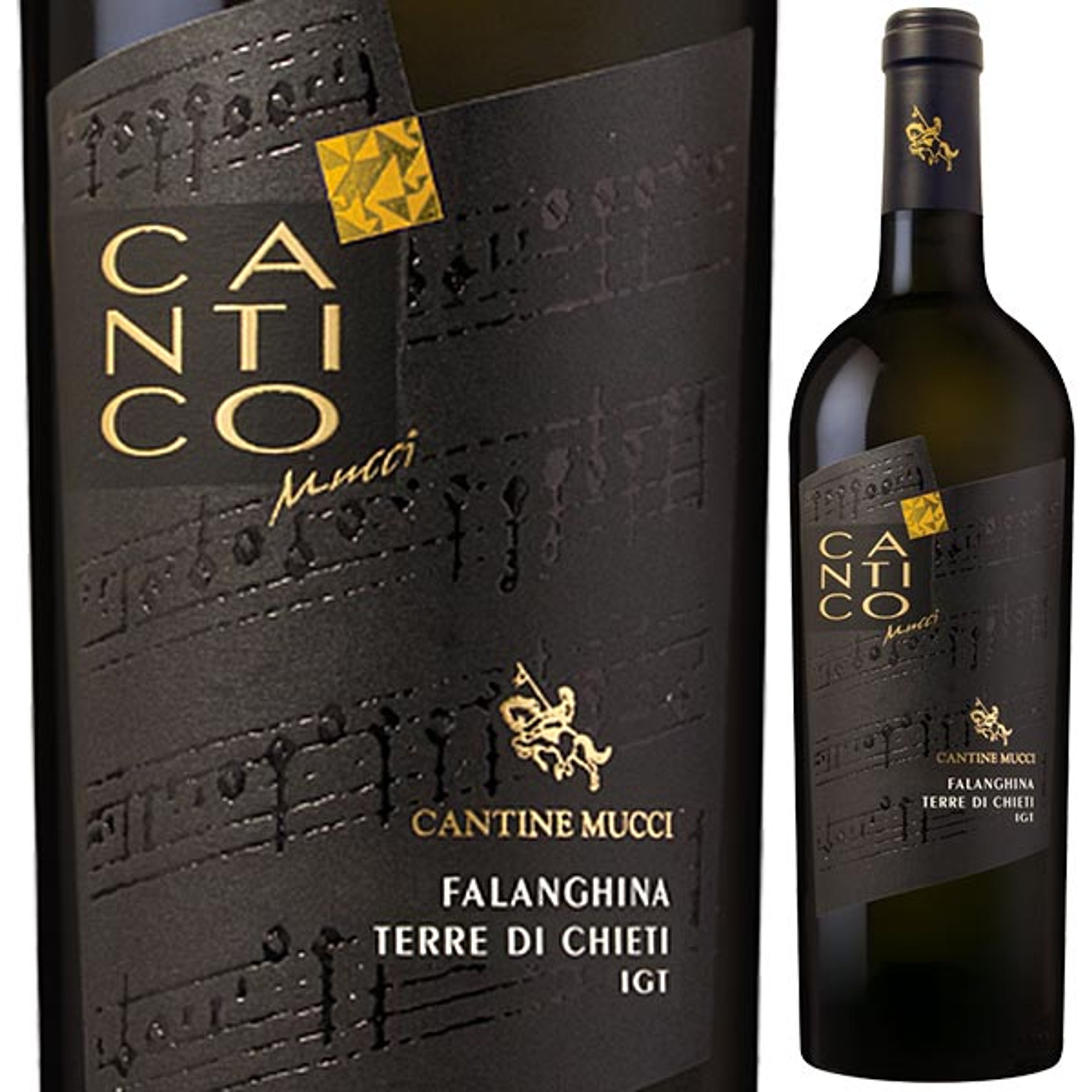 ㉙カンティコ ファランギーナ テッレ ディ キエーティ 2020 カンティーネ ムッチ