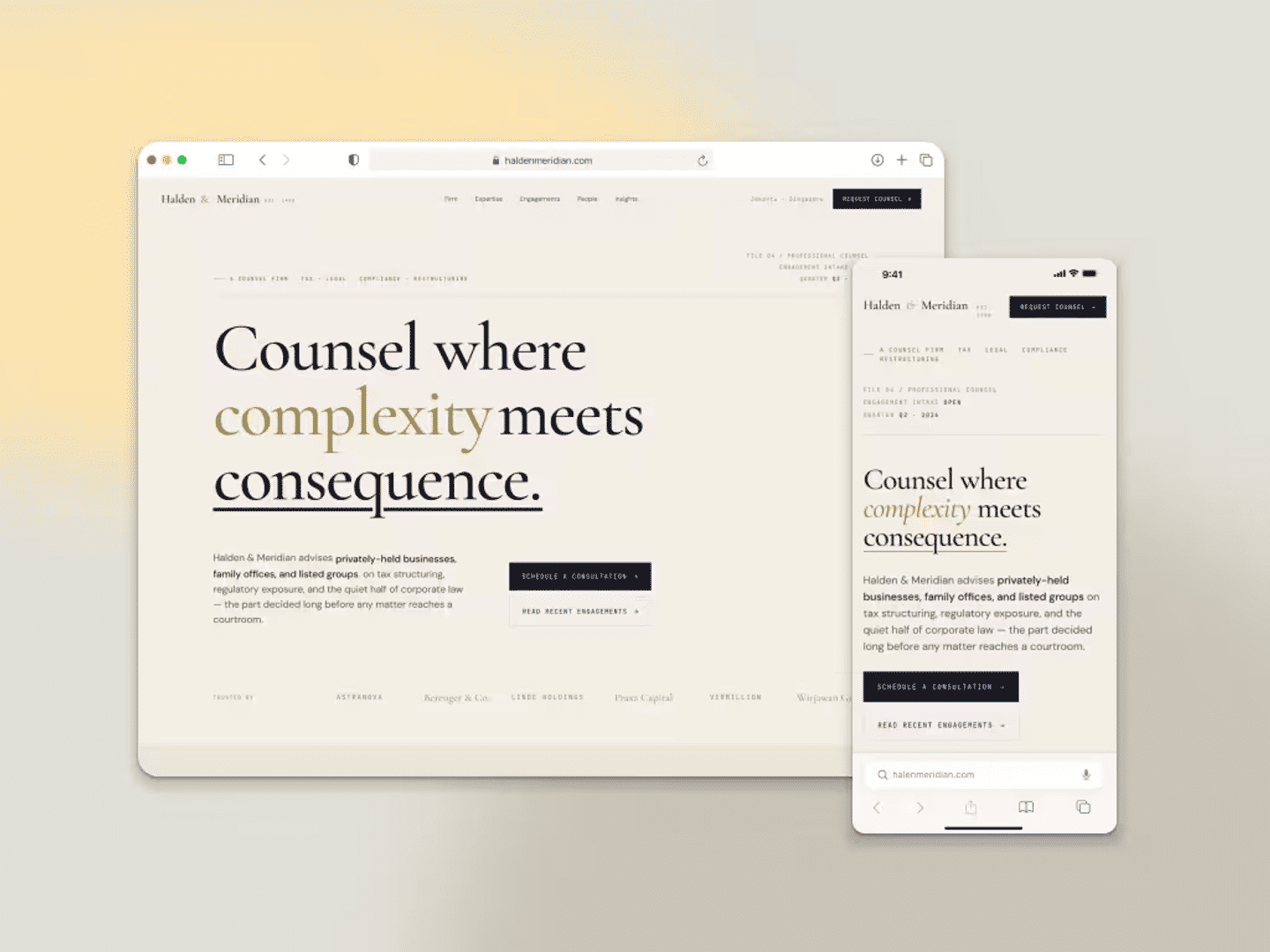 HaldenMeridian - Professional Consultant preview 1