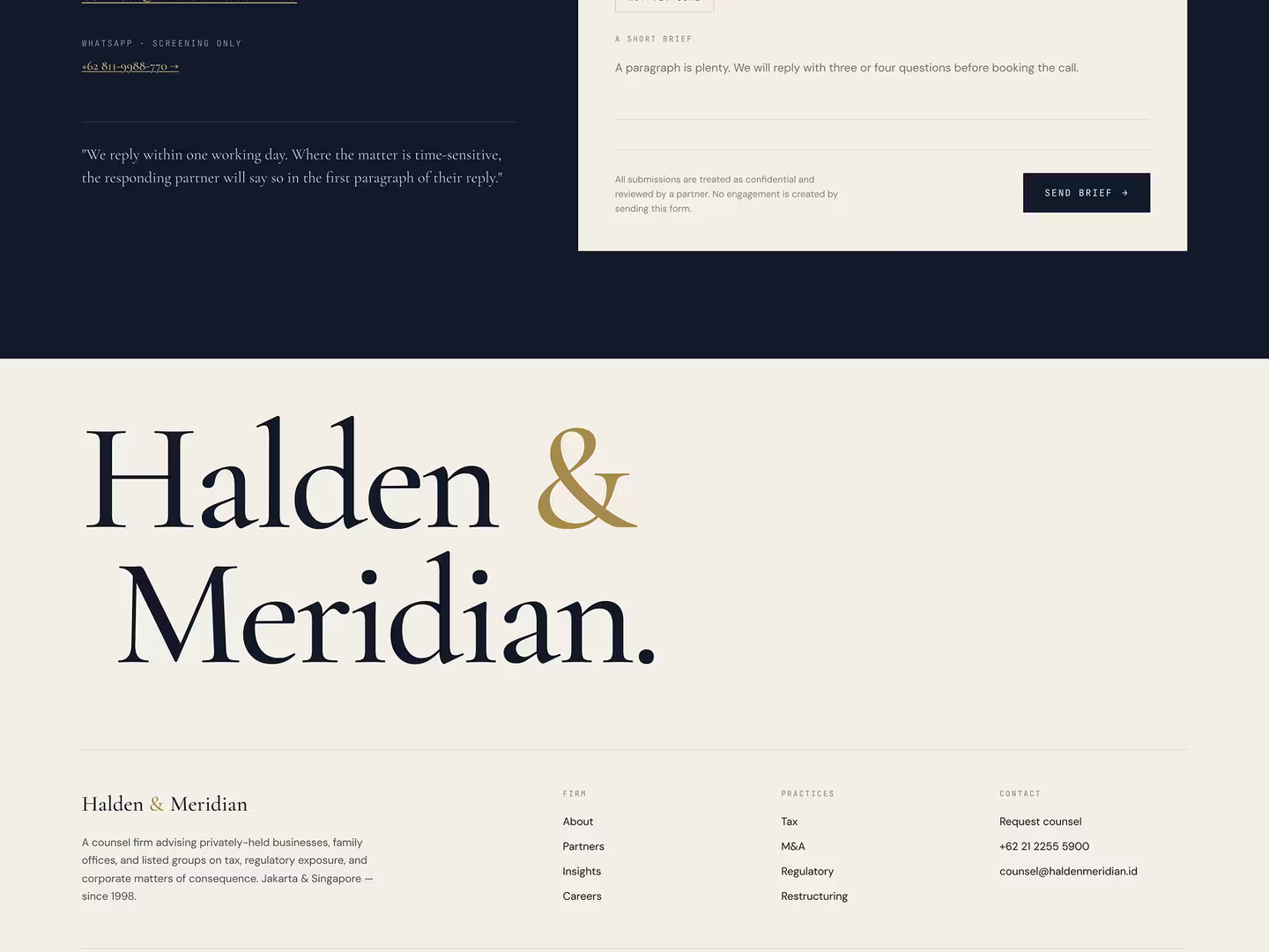 HaldenMeridian - Professional Consultant preview 4