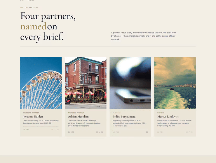 HaldenMeridian - Professional Consultant — image 3