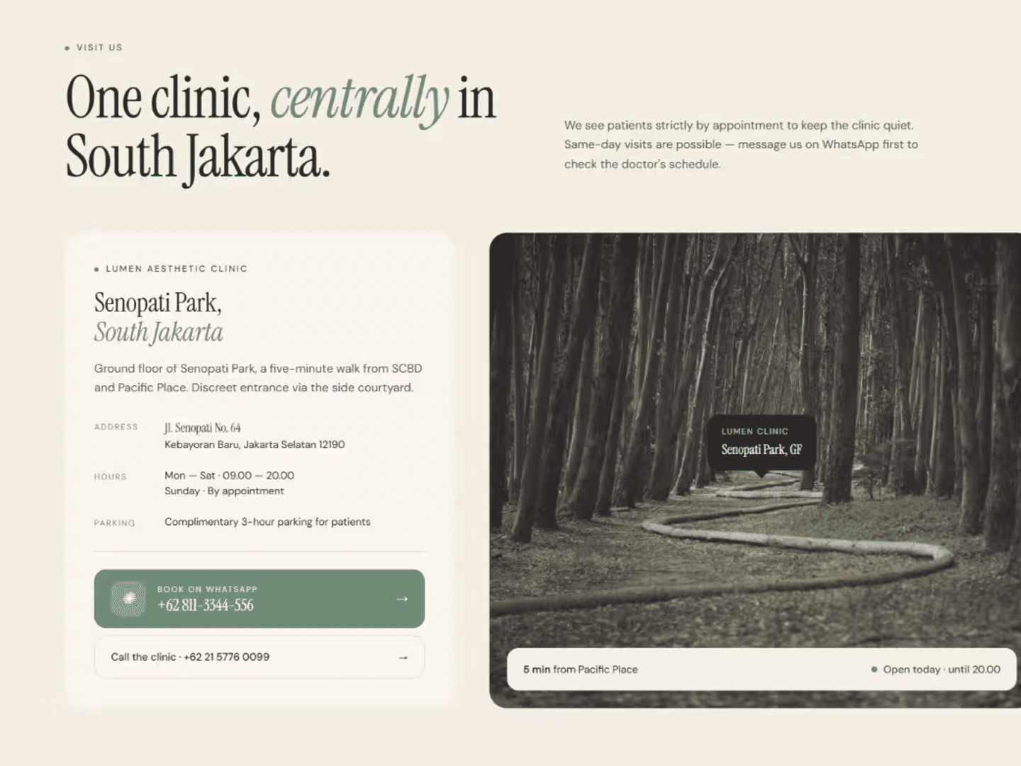 Lumen - Clinic & Healthcare preview 3